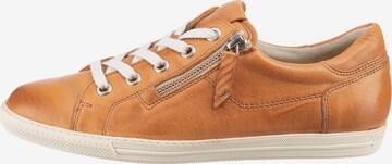 Paul Green Sneakers laag in Bruin