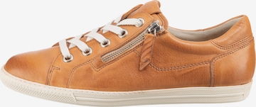 Paul Green - Zapatillas deportivas bajas en marrón
