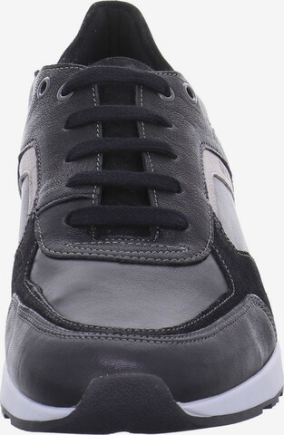 LLOYD Lace-Up Shoes in Black