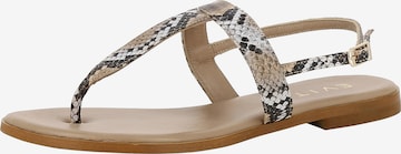 EVITA T-Bar Sandals 'OLIMPIA' in Brown: front