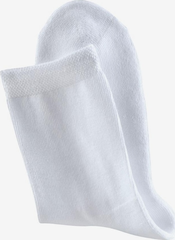 H.I.S Socks in White