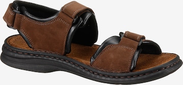 JOSEF SEIBEL Sandals 'Rafe' in Brown