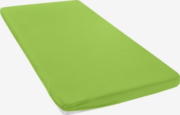 ECOREPUBLIC Bed Sheet in Green