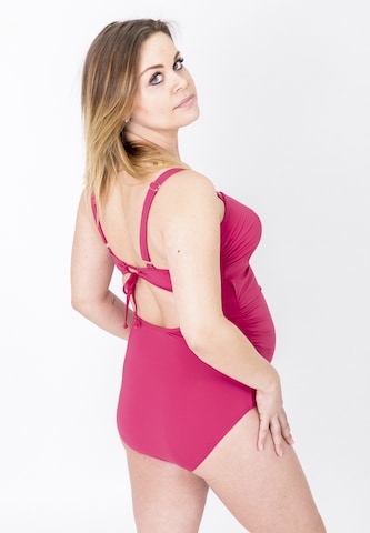 petit amour Swimsuit 'Camerona' in Pink