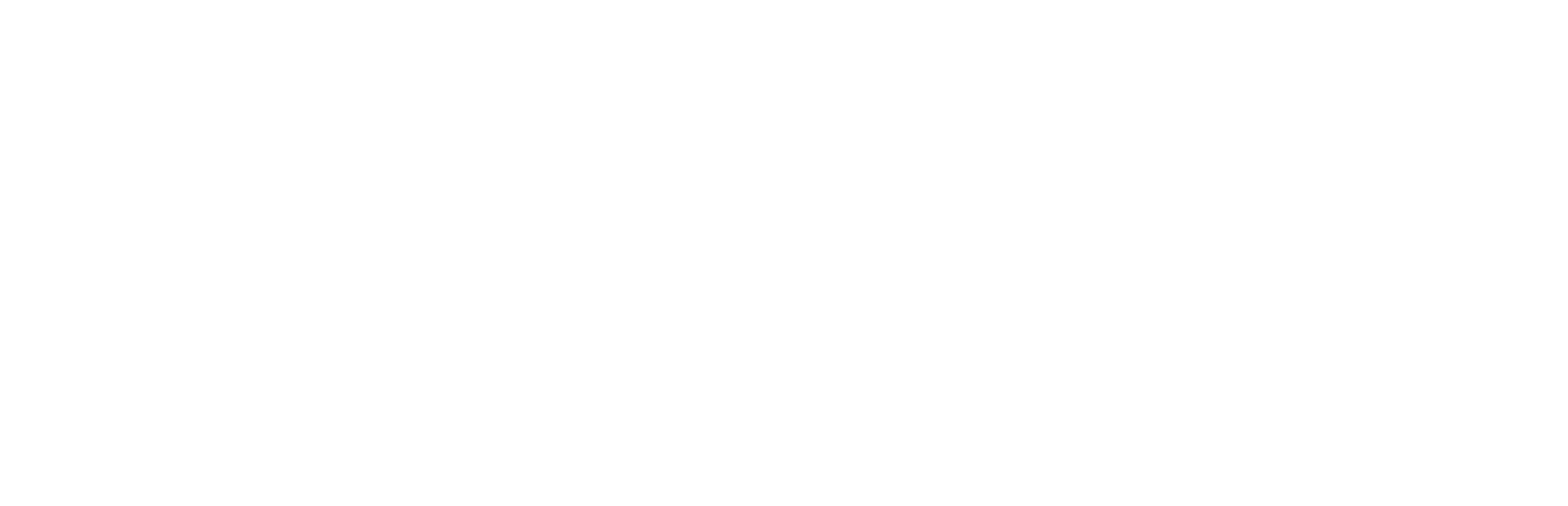 Heine Logo