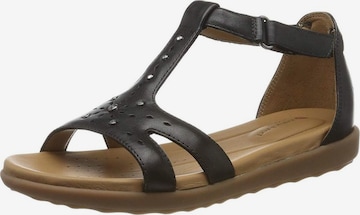 CLARKS Sandalen/Sandaletten in Schwarz: predná strana