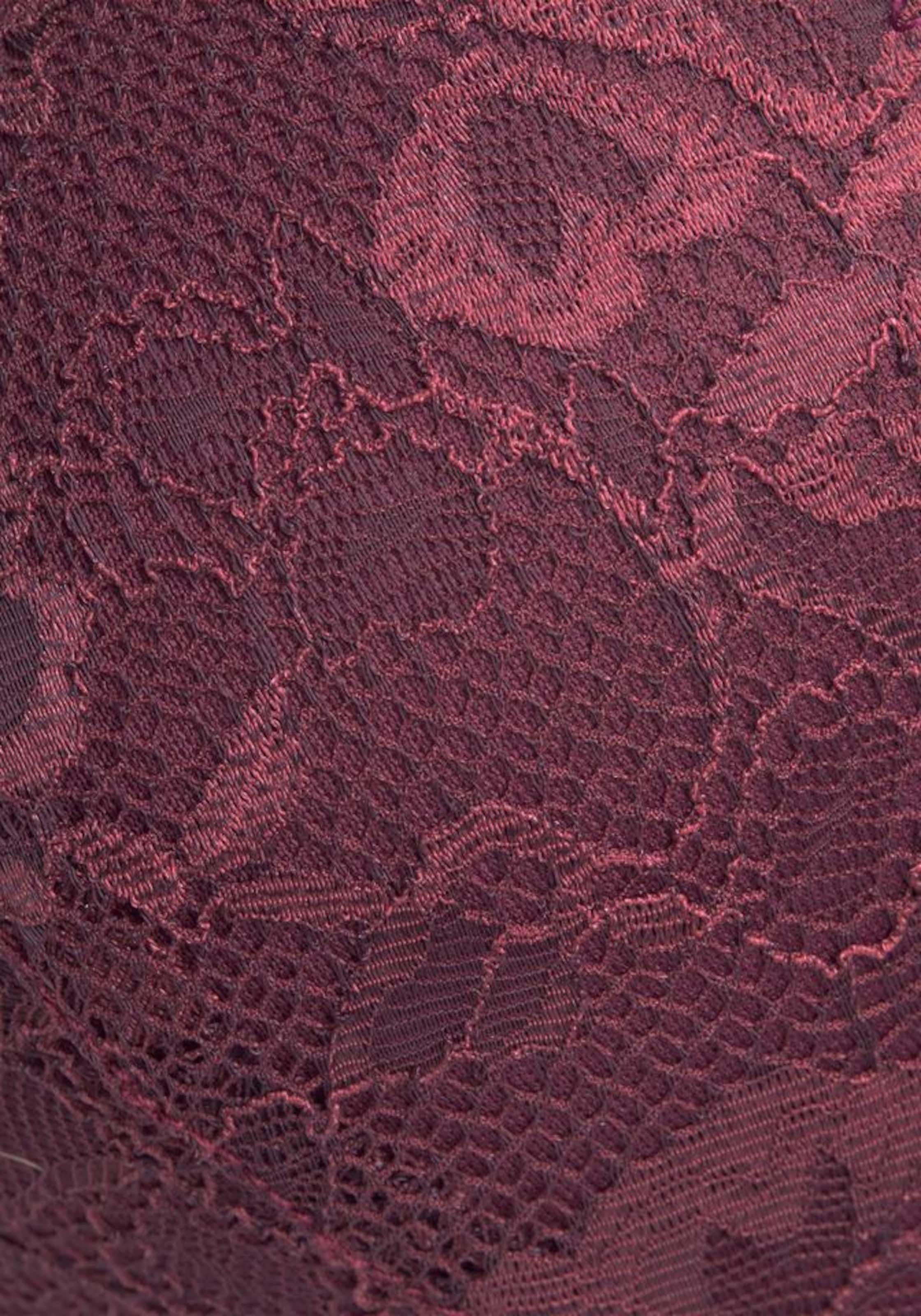 LASCANA Push-up Bra in Purple