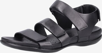 ECCO Sandalen met riem 'Flash' in Zwart: voorkant