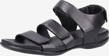 ECCO Strap Sandals 'Flash' in Black: front