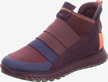 ECCO High-Top Sneakers in Purple: front