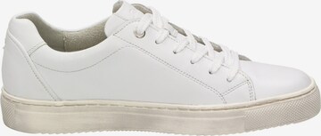 SIOUX Sneakers in White
