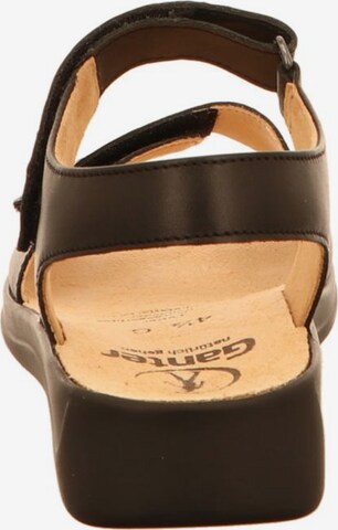 Ganter Sandals in Brown