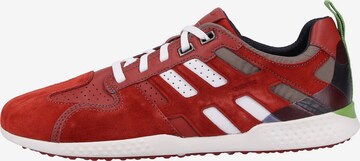 GEOX Sneakers laag 'Snake' in Rood