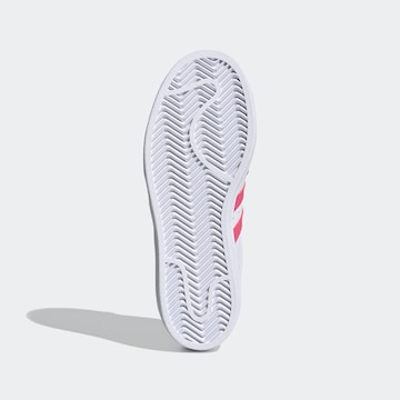 Baskets 'Superstar' ADIDAS ORIGINALS en blanc