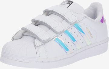 ADIDAS ORIGINALS Trampki 'Superstar' w kolorze biały: przód