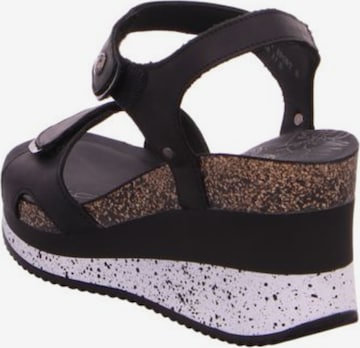 PANAMA JACK Strap Sandals 'Nica' in Black