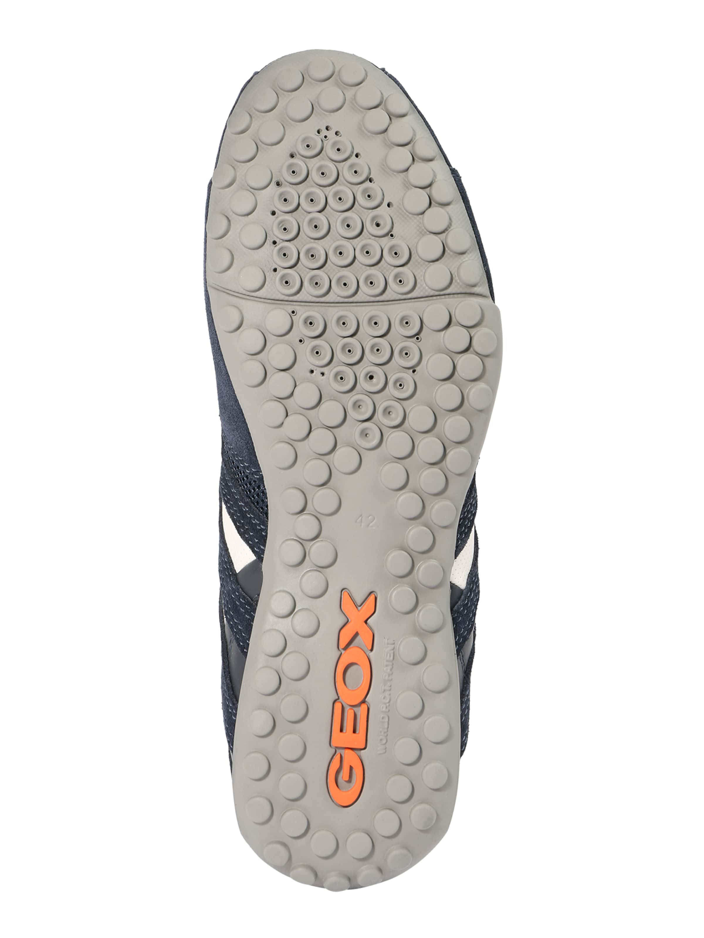 GEOX Sneakers laag 'Snake' in Blauw