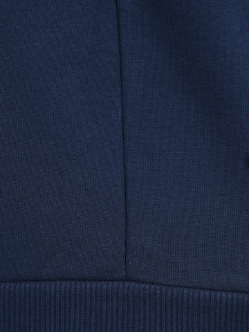 UNDER ARMOUR Athletic Zip-Up Hoodie 'Rival Fz' in Blue