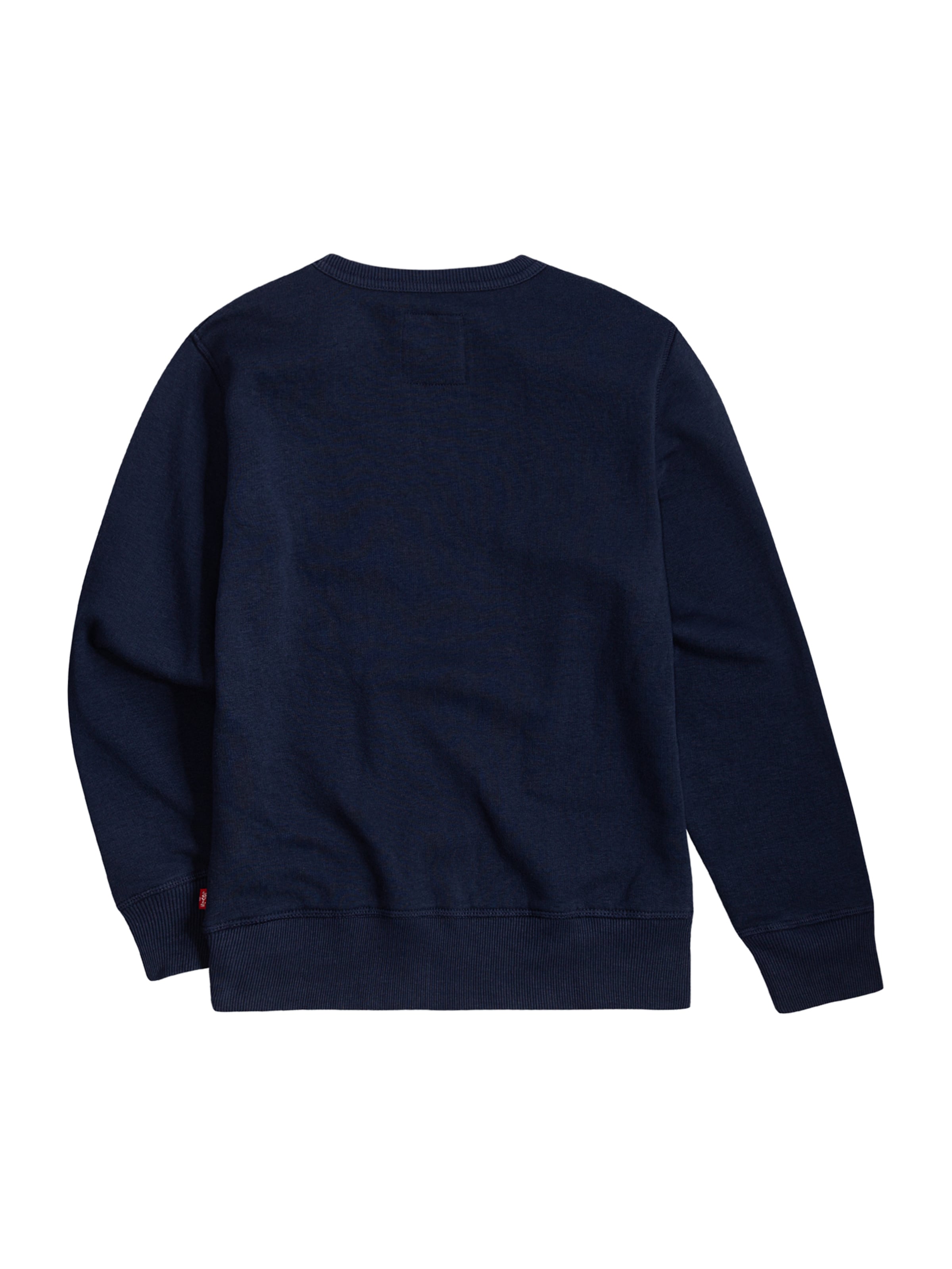 Levi's Kids Regular fit Sweatshirt in Blue
