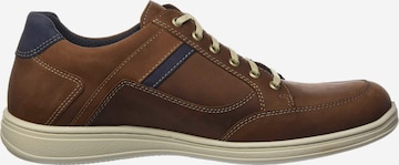 JOMOS Sneakers in Brown