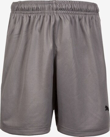 Pantalon de sport 'Liga' PUMA en gris : devant