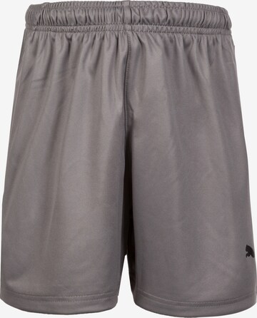 Regular Pantalon de sport 'Liga' PUMA en gris : devant