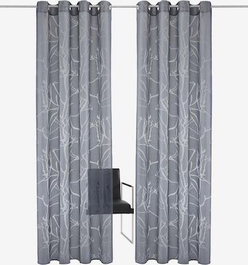MY HOME Curtains & Drapes in Grey: front