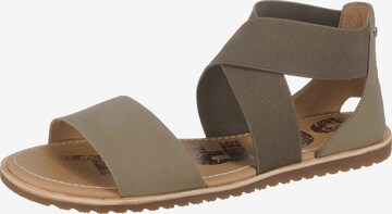 SOREL Sandalen met riem 'Ella' in Grijs: voorkant