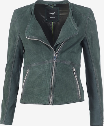 Maze Between-Season Jacket 'Linden' in Green: front