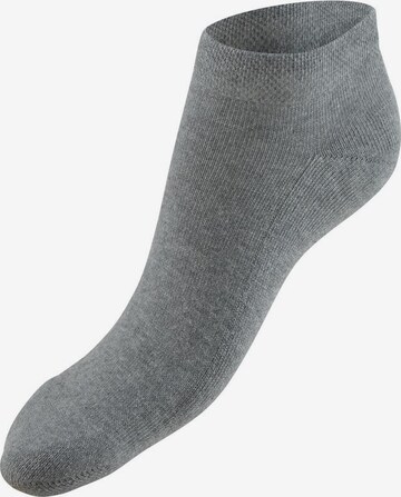 H.I.S Sneakersocken in Grau