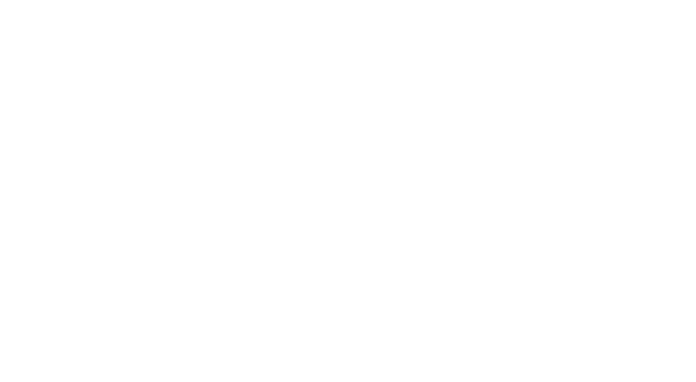 Fashy Logo