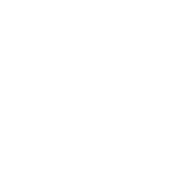 TRIUMPH Logo
