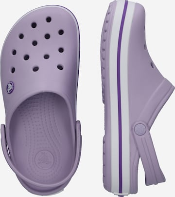 Crocs Klapki 'Crocband' w kolorze fioletowy