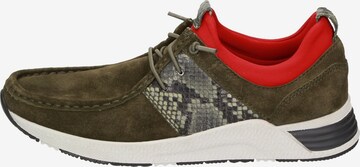 SIOUX Sneakers laag in Groen: voorkant