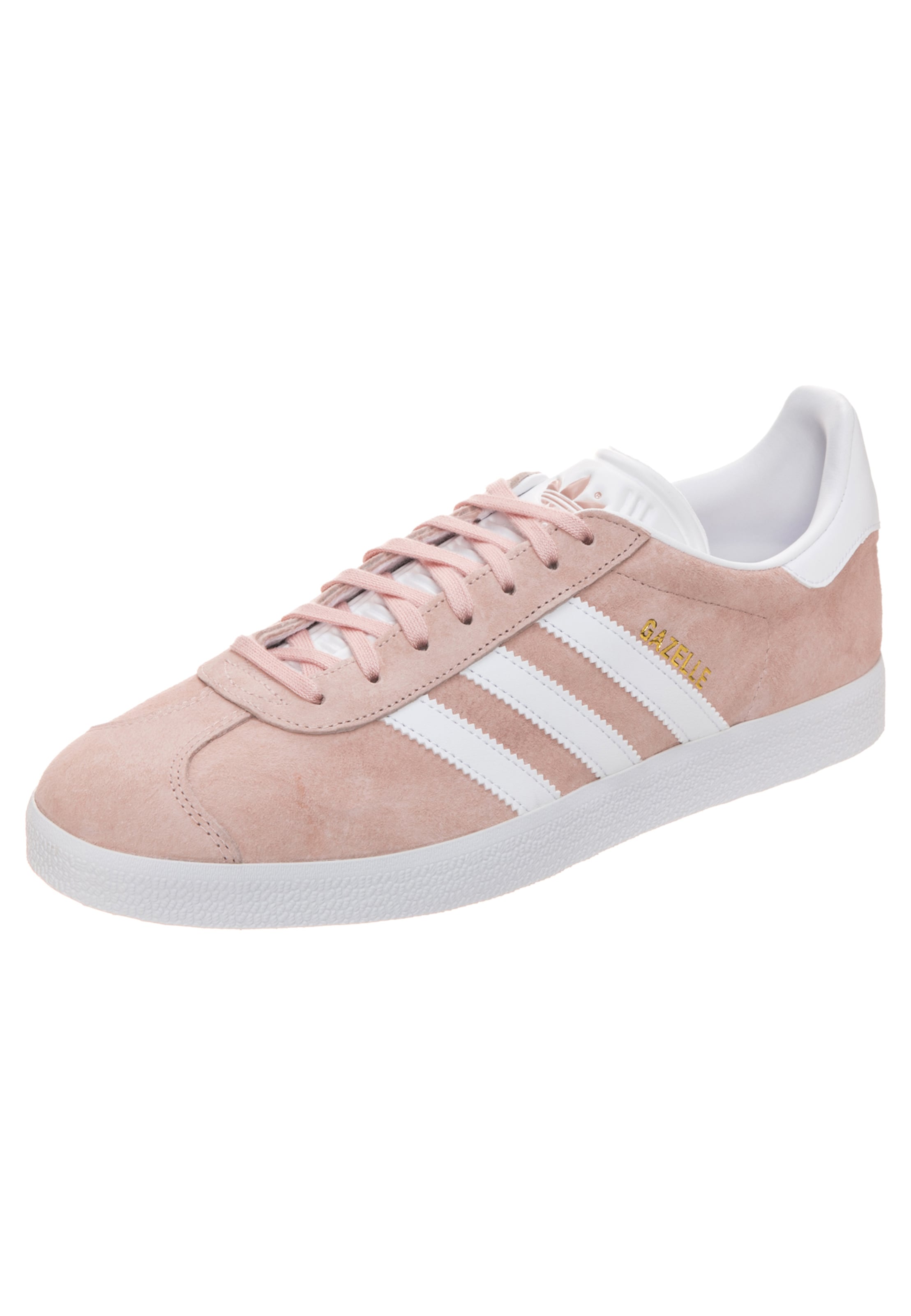 gazelle rosa