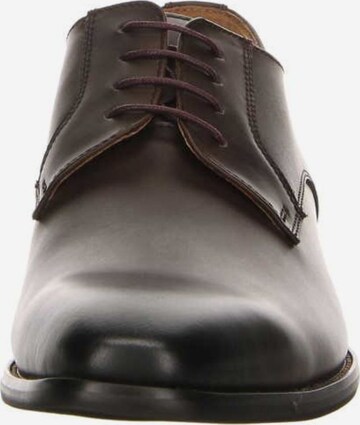 Digel Lace-Up Shoes in Brown