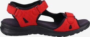 Legero Sandalen in Rot