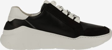 Paul Green Sneakers laag in Zwart