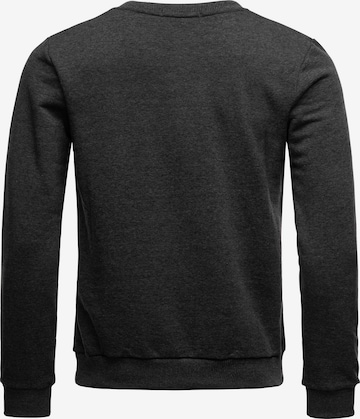 Redbridge Sweatshirt in Grijs: voorkant