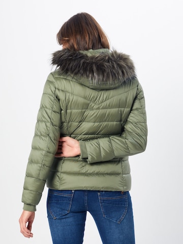 ESPRIT Zimní bunda – zelená: zadní strana
