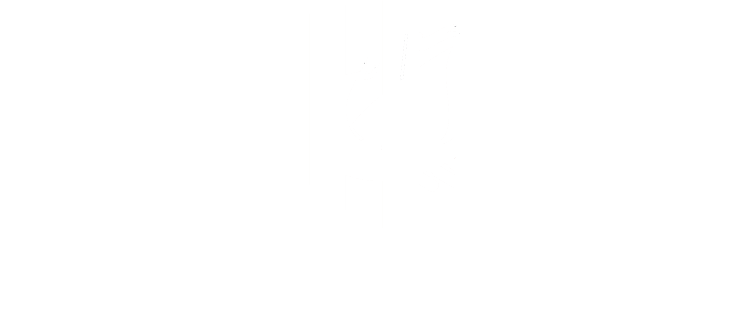 Jan Vanderstorm Logo