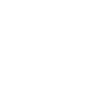 Bigdart Logo