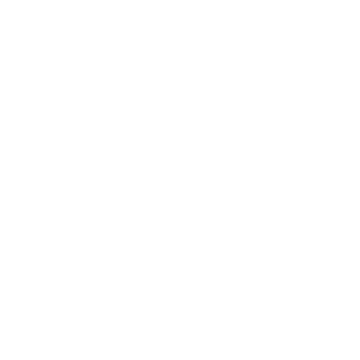 FUN Socks Logo