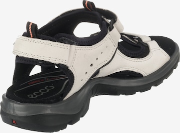 ECCO Wandelsandalen 'Offroad' in Wit