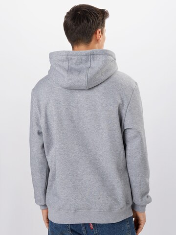 SOUTHPOLE Sweatshirt 'Halfmoon' in Grey