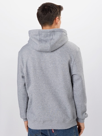 Sweat-shirt 'Halfmoon' SOUTHPOLE en gris