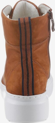 ARA Lace-Up Ankle Boots in Brown