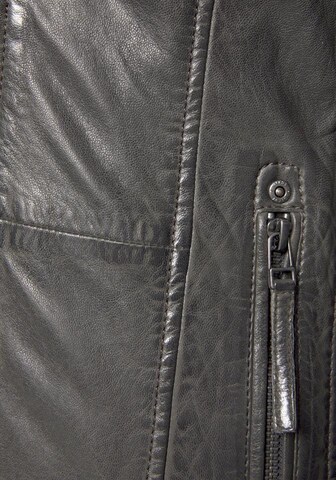 Gipsy by Mauritius Mantel in Grau