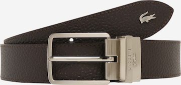 Cintura 'Belt' di LACOSTE in marrone: frontale