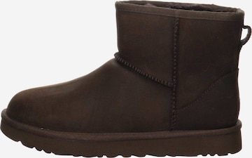 Botine de la UGG pe maro